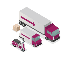 Express Shipping